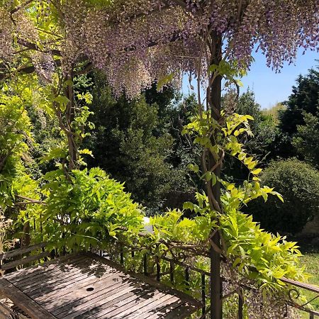 Hotel La Gandonne Caderousse Zewnętrze zdjęcie